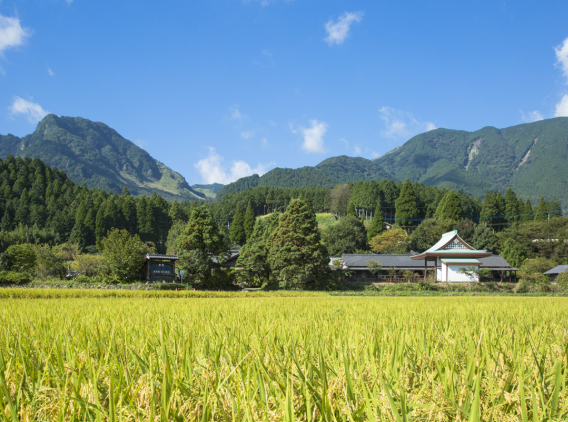 南阿蘇俵山温泉 旅館 みな和